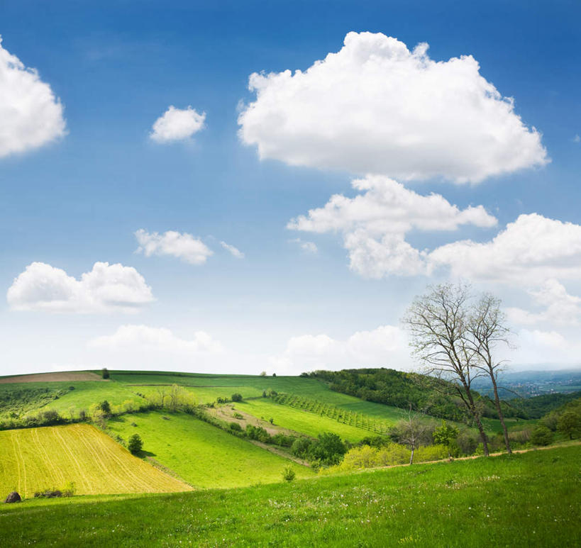 无人,方图,俯视,室外,白天,旅游,度假,梯田,草地,草坪,美景,植物,欧洲,阴影,光线,影子,景观,山坡,云,云朵,云彩,娱乐,草,树,树木,蓝色,绿色,白云,蓝天,天空,阳光,自然,天,享受,休闲,景色,放松,生长,晴朗,成长,自然风光,东欧,塞尔维亚,塞尔维亚共和国,晴空,彩图,高角度拍摄
