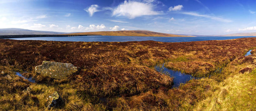 无人,横图,俯视,航拍,室外,白天,旅游,度假,草地,草坪,美景,植物,阴影,光线,影子,景观,云,云朵,云彩,娱乐,草,蓝色,绿色,白云,蓝天,天空,阳光,自然,天,享受,休闲,景色,放松,晴朗,沼泽,鸟瞰,自然风光,池沼,晴空,彩图,高角度拍摄