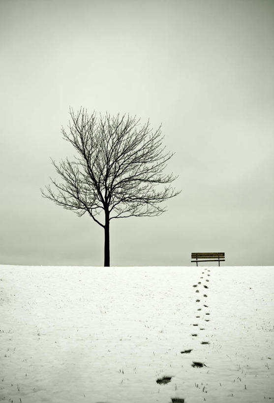无人,竖图,室外,白天,正面,旅游,度假,安全,美景,雪,植物,大雪,椅子,一排,许多,脚印,整齐,平静,长椅,木椅,积雪,景观,雪地,雪景,冬季,冬天,枯树,很多,娱乐,树,树木,排列,一个,绿色,白色,自然,享受,休闲,景色,放松,寒冷,迷茫,生长,单个,成长,宁静,足迹,队列,自然风光,和平,安详,严寒,行踪,脚迹,太平,安适,安好,宁靖,苍茫,渺茫,彩图