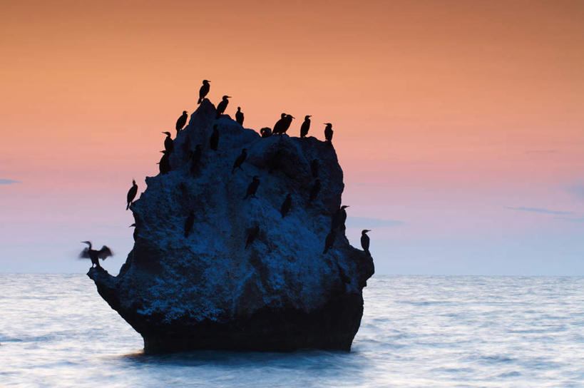 无人,站,横图,室外,白天,正面,旅游,度假,海浪,海洋,礁石,石头,美景,日落,植物,鸟,许多,阴影,光线,鸬鹚,鸟类,石子,影子,景观,浪花,水平线,晚霞,霞光,云,云朵,落日,辽阔,海平线,很多,背光,云彩,娱乐,捕鱼,树,树木,蓝色,绿色,白云,蓝天,天空,阳光,自然,海水,黄昏,天,站着,享受,休息,休闲,广阔,景色,彩霞,放松,生长,晴朗,成长,一望无际,自然风光,逆光,海景,鱼鹰,水老鸦,歇息,无边无际,一马平川,苏息,夕照,大海,风浪,海,海水的波动,礁,近岸浪,石块,岩石,涌浪,晴空,夕阳,站立,彩图,全身,水天相接,水天一线,斜阳