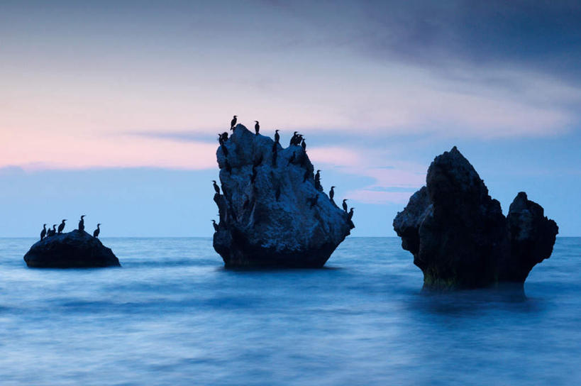 无人,站,横图,室外,白天,正面,旅游,度假,海浪,海洋,礁石,石头,美景,日落,植物,鸟,许多,阴影,光线,鸬鹚,鸟类,石子,影子,景观,浪花,水平线,晚霞,霞光,云,云朵,落日,辽阔,海平线,很多,背光,云彩,娱乐,捕鱼,树,树木,蓝色,绿色,白云,蓝天,天空,阳光,自然,海水,黄昏,天,站着,享受,休息,休闲,广阔,景色,彩霞,放松,生长,晴朗,成长,一望无际,自然风光,逆光,海景,鱼鹰,水老鸦,歇息,无边无际,一马平川,苏息,夕照,大海,风浪,海,海水的波动,礁,近岸浪,石块,岩石,涌浪,晴空,夕阳,站立,彩图,全身,水天相接,水天一线,斜阳