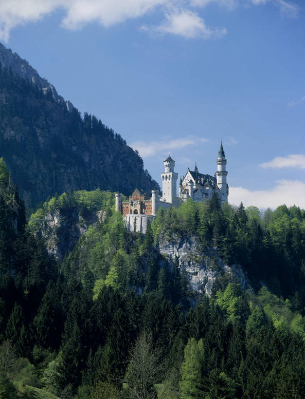 无人,竖图,室内,白天,正面,旅游,度假,森林,山,山脉,树林,植物,标志建筑,地标,建筑,德国,欧洲,阴影,光线,影子,堡垒,城堡,山峰,云,云朵,山峦,云彩,娱乐,建设,新天鹅堡,树,树木,蓝色,绿色,白云,蓝天,天空,阳光,自然,群山,天,享受,休闲,旅游胜地,放松,生长,晴朗,成长,西欧,要塞,德意志联邦共和国,新天鹅城堡,巴伐利亚,巴伐利亚州,拜恩州,拜恩自由州,设防,晴空,彩图