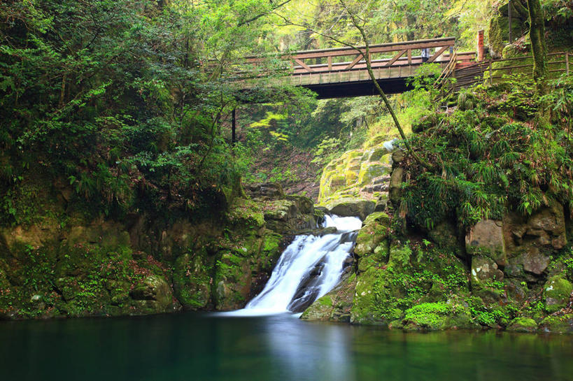 无人,栏杆,横图,室外,白天,仰视,旅游,度假,草地,草坪,河流,美景,瀑布,山,山脉,树林,水,植物,日本,亚洲,阴影,飞溅,溅,光线,液体,影子,河水,景观,山峰,水滴,水流,围栏,青苔,苔藓,山峦,娱乐,护栏,水珠,草,树,树木,绿色,阳光,自然,群山,享受,休闲,景色,放松,生长,成长,喷洒,自然风光,东亚,本州,三重县,本州岛,日本国,近畿地方,近畿,三重,跌水,彩图,低角度拍摄,名张市