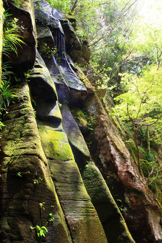 无人,竖图,室外,白天,仰视,旅游,度假,石头,美景,瀑布,树林,水,峡谷,植物,日本,亚洲,阴影,飞溅,溅,光线,石子,液体,影子,景观,水滴,山谷,娱乐,水珠,树,树木,绿色,阳光,自然,享受,休闲,景色,放松,生长,成长,岩层,喷洒,自然风光,东亚,本州,三重县,本州岛,日本国,近畿地方,近畿,三重,跌水,石块,岩石,彩图,低角度拍摄,名张市