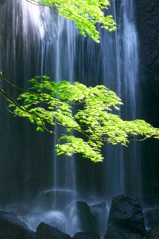 无人,竖图,室外,白天,正面,旅游,度假,石头,美景,瀑布,树林,水,峡谷,植物,日本,亚洲,飞溅,溅,石子,液体,景观,水滴,山谷,娱乐,水珠,树,树木,绿色,自然,享受,休闲,景色,放松,生长,成长,岩层,喷洒,自然风光,东亚,本州,本州岛,日本国,东北地方,福岛,福岛县,跌水,石块,岩石,彩图,耶麻郡,猪苗代町
