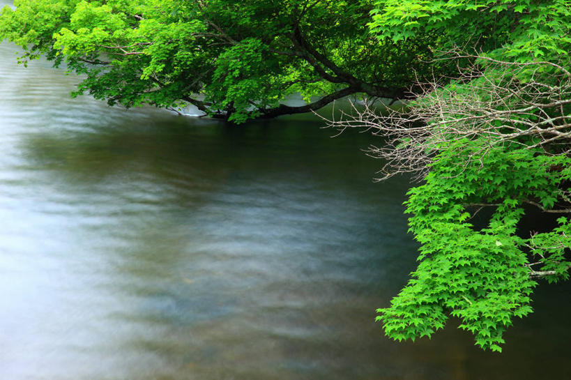 无人,横图,俯视,室外,白天,旅游,度假,湖,湖泊,美景,树林,水,植物,北海道,日本,亚洲,阴影,光线,影子,湖面,景观,水流,水面,娱乐,树,树木,绿色,阳光,自然,湖水,享受,休闲,景色,放松,生长,成长,自然风光,东亚,日本国,北海道地方,北海道岛,川上郡,钏路支厅,弟子屈町,彩图,高角度拍摄,振兴局,钏路综合振兴局,道东
