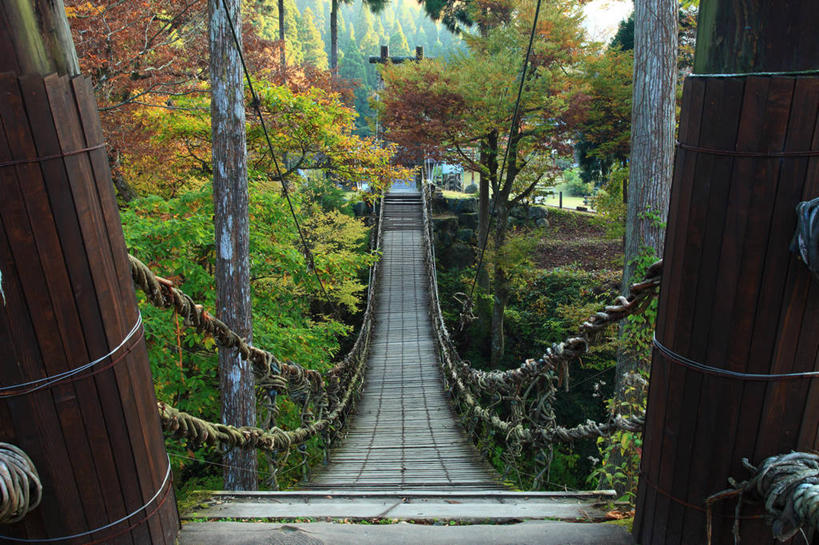 无人,栏杆,横图,室外,白天,正面,旅游,度假,美景,秋季,树林,植物,叶子,日本,亚洲,许多,阴影,光线,影子,景观,围栏,桥,枯叶,落叶,很多,娱乐,护栏,树,树木,黄色,绿色,阳光,自然,享受,休闲,景色,放松,吊桥,生长,成长,人行桥,悬索桥,自然风光,吊杆,东亚,本州,本州岛,日本国,中部地方,福井,福井县,锚锭,悬索,叶,叶片,秋,秋天,彩图,池田町,今立郡