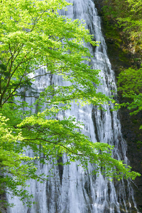 风景,人文