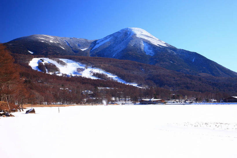无人,公园,横图,室外,白天,正面,旅游,度假,美景,山,雪,雪山,植物,大雪,长野县,日本,亚洲,阴影,枯萎,光线,影子,冰,积雪,景观,山峰,雪景,冬季,冬天,枯草,山峦,娱乐,草,黄色,蓝色,蓝天,天空,阳光,自然,天,享受,休闲,景色,放松,寒冷,晴朗,冰冷,自然风光,东亚,本州,万里无云,本州岛,日本国,中部地方,山梨,山梨县,长野,严寒,冰凉,酷寒,凛冽,凛凛,极冷,蓼科山,晴空,晴空万里,彩图,国定公园,诹访富士,八岳中信高原国定公园