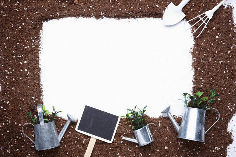 无人,横图,俯视,室内,特写,白天,桌面,桌子,金属制品,一堆,许多,阴影,堆叠,堆积,反射,金属,叉子,铲子,壶,影子,泥土,土壤,很多,洒水壶,水壶,三个,一个,白色,黑板,教学,单个,堆,农具,浇水壶,耕具,耐磨,教学黑板,彩图,高角度拍摄,干草叉,手铲