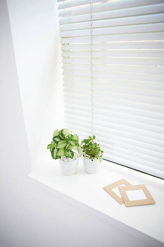 无人,竖图,照片,室内,白天,正面,植物,窗户,叶子,相框,盆栽,百叶窗,墙,绿叶,盆景,两盆,墙壁,墙面,绿色,自然,嫩叶,摄影,生长,成长,叶,叶片,相片,彩图,拍摄,照相