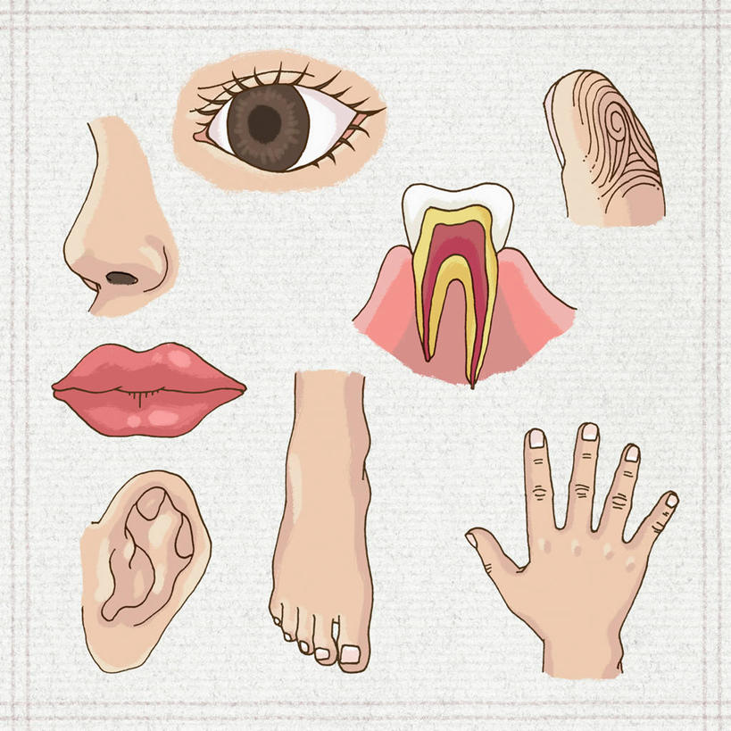 眼睛,鼻子,嘴,耳朵,眉毛,睫毛,手,牙齿,腿部,脚,脚趾,脚趾甲,腿,无人,方图,插画,室内,白天,白色背景,正面,数码,科技,瞳孔,阴影,网络,高光,几何,计算机图形,合成,图画,画,手部,眼部,电脑合成图,数码合成图,手印,张开五指,合成图,指纹,漫画,契约,写实,具体,具象,约定,刑侦,辨别,脚指甲,鼻,鼻孔,齿,耳,耳部,睫,口,口腔,眉,牙,牙龈,眼,眼睫毛,眼眉,嘴巴,嘴唇,彩图,五指张开,眼眉毛