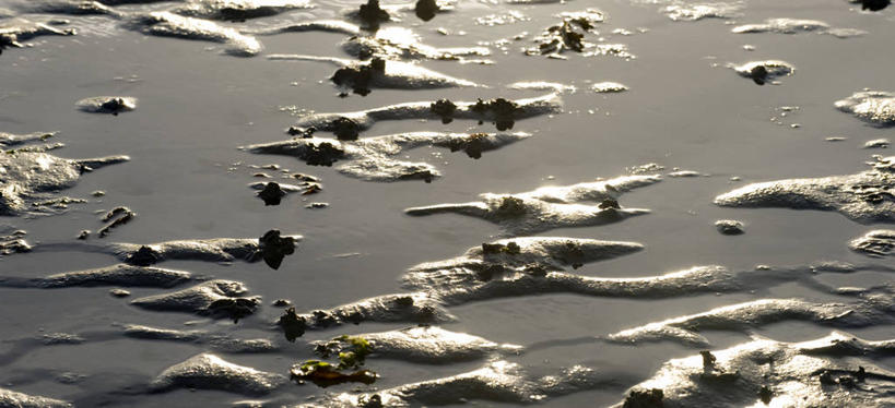 无人,横图,俯视,室外,白天,旅游,度假,草地,美景,沙滩,植物,法国,欧洲,阴影,光线,沙子,影子,海岸,景观,沙地,娱乐,草,绿色,阳光,自然,享受,休闲,景色,放松,布列塔尼,西欧,法兰西,自然风光,法兰西共和国,法兰西第五共和国,布列塔尼半岛,海滩,彩图,高角度拍摄