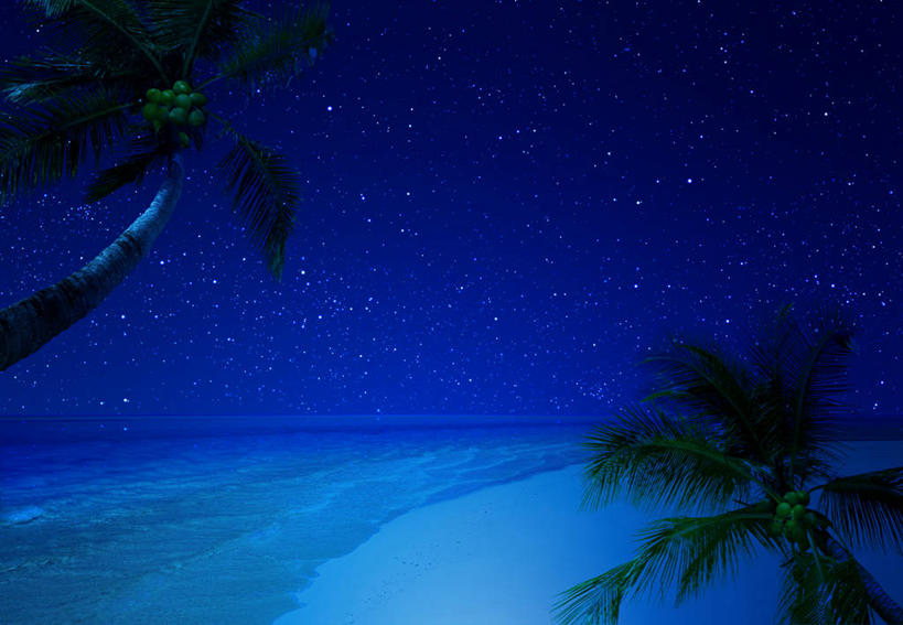 无人,横图,室内,白天,夜晚,正面,数码,科技,海浪,海洋,沙滩,星空,植物,夜景,棕榈树,叶子,阴影,网络,沙子,海岸,浪花,绿叶,沙地,高光,几何,计算机图形,合成,树,树木,绿色,自然,海水,嫩叶,生长,成长,电脑合成图,数码合成图,合成图,海景,棕榈叶,写实,具体,具象,叶,叶片,大海,风浪,海,海水的波动,海滩,近岸浪,涌浪,星夜,夜空,棕树,棕榈,彩图