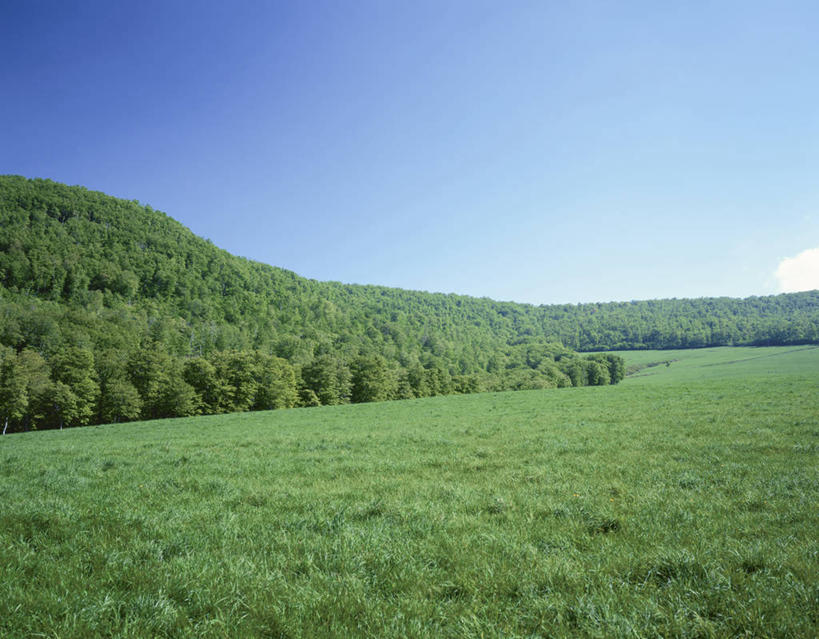 无人,横图,室外,白天,正面,旅游,度假,草地,草坪,美景,树林,植物,日本,亚洲,阴影,光线,影子,景观,云,云朵,云彩,娱乐,草,树,树木,蓝色,绿色,白云,蓝天,天空,阳光,自然,天,享受,休闲,景色,放松,生长,晴朗,成长,自然风光,东亚,本州,本州岛,日本国,青森,青森县,东北地方,晴空,彩图,八甲田山