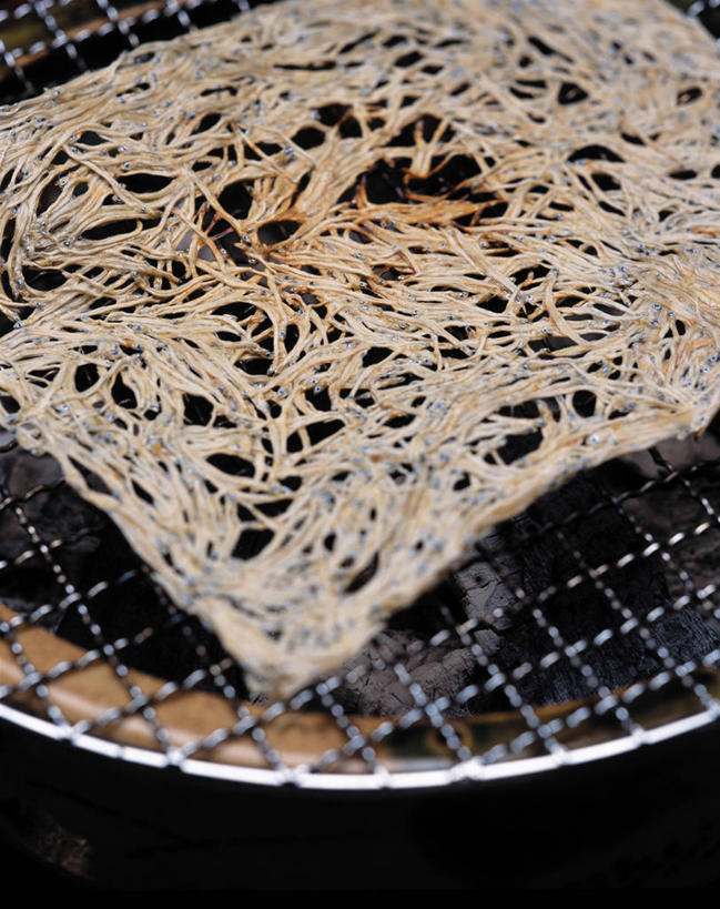 无人,竖图,俯视,室内,特写,白天,烧烤,肉,鱼肉,鱼片,烤架,肉类,铁架,横截面,剖面,肉食,截面,截面图形,彩图,高角度拍摄