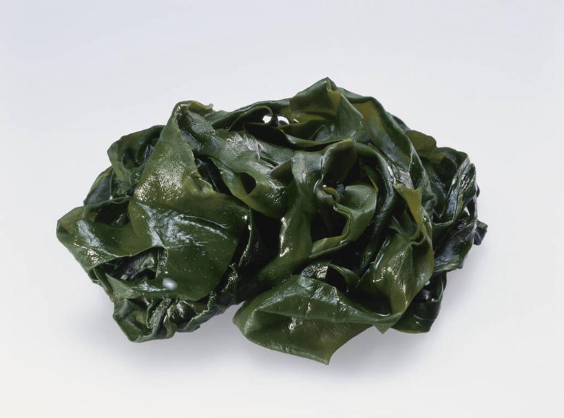 无人,横图,俯视,室内,特写,白天,白色背景,蔬菜,阴影,新鲜,反射,影子,食品,食物,绿色,海藻,摄影,有机食品,绿色食品,影棚,海草,彩图,高角度拍摄,影棚拍摄,拍摄,翅藻,裙带菜