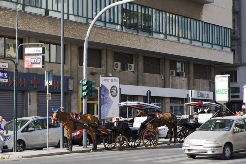 无人,家,栏杆,横图,室外,白天,正面,度假,美景,城市风光,城市,道路,路,公路,汽车,马,野生动物,意大利,欧洲,阴影,光线,影子,房屋,墙,屋子,景观,围栏,分界线,马车,停车线,交通,娱乐,护栏,楼房,墙壁,墙面,住宅,车,阳光,动物,交通工具,轿车,享受,休闲,景色,放松,运输,牲畜,车行道,车行道分界线,西西里,南欧,载具,标线,车行线,意大利共和国,西西里岛,马路,彩图,全身,房子,巴勒莫省