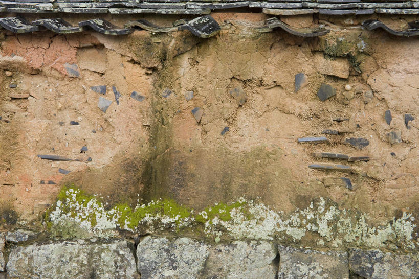 无人,家,横图,室外,白天,正面,度假,美景,城市风光,城市,建筑,日本,亚洲,盛开,瓦片,房屋,墙,屋顶,屋子,景观,花蕾,顶棚,瓦,娱乐,楼房,墙壁,墙面,住宅,花,花瓣,花朵,鲜花,花苞,花蕊,享受,休闲,景色,放松,建造,东亚,屋瓦,本州,本州岛,日本国,中国地方,山口,山口县,彩图,房子,萩市
