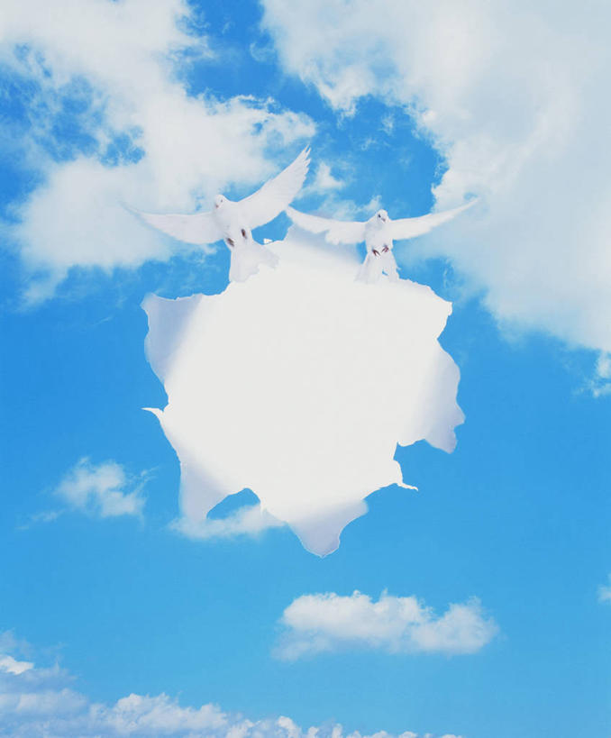 无人,竖图,室内,白天,仰视,数码,科技,鸟,野生动物,飞翔,伸展,张开,展翅,阴影,飞行,光线,网络,斑鸠,翅膀,鸟类,影子,洞,云,云朵,高光,几何,计算机图形,翱翔,合成,云彩,破坏,飞,破损,蓝色,白云,蓝天,天空,阳光,动物,天,可爱,洞穴,活泼,晴朗,损坏,电脑合成图,数码合成图,合成图,张开翅膀,穴,写实,具体,具象,欧斑鸠,展开翅膀,晴空,彩图,低角度拍摄,全身,鹁鸪,鹁鸠,水鸪鸪