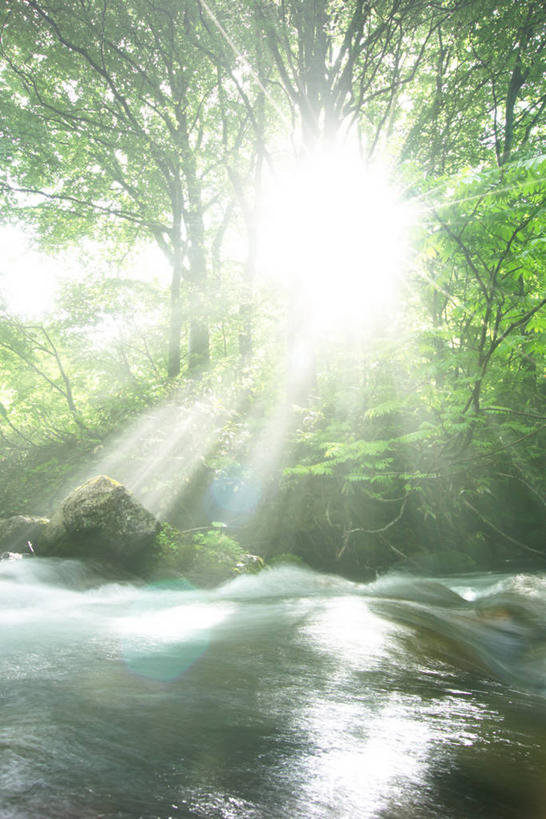 无人,竖图,室外,白天,正面,旅游,度假,河流,石头,美景,树林,水,植物,日本,亚洲,阴影,朦胧,梦幻,模糊,湍急,发光,光束,光线,石子,影子,河水,景观,水流,光亮,娱乐,树,树木,绿色,小溪,阳光,自然,溪水,享受,休闲,景色,放松,生长,成长,未来,发亮,自然风光,东亚,憧憬,本州,本州岛,日本国,东北地方,山形,山形县,石块,岩石,彩图,镜头光晕,透镜闪耀,眩光,东田川郡,庄内町