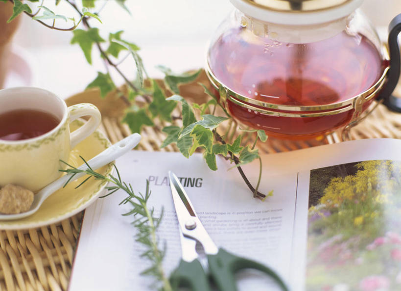 无人,横图,俯视,室内,特写,白天,阅读,幸福,植物,茶,杂志,杯子,叶子,玻璃,一把,修剪,学习,阴影,朦胧,模糊,反射,工具,壶,剪刀,盆栽,影子,陶瓷,茶叶,绿叶,盆景,陶瓷制品,凉茶,娱乐,玻璃制品,水壶,饮料,绿色,自然,茶壶,容器,水杯,看,享受,休闲,温馨,嫩叶,放松,乐趣,清热,读书,浏览,生长,成长,裁剪,迷迭香,剪子,提神,剪裁,切割,舒适,醒脑,海洋之露,解毒,下火,叶,叶片,茶杯,彩图,高角度拍摄