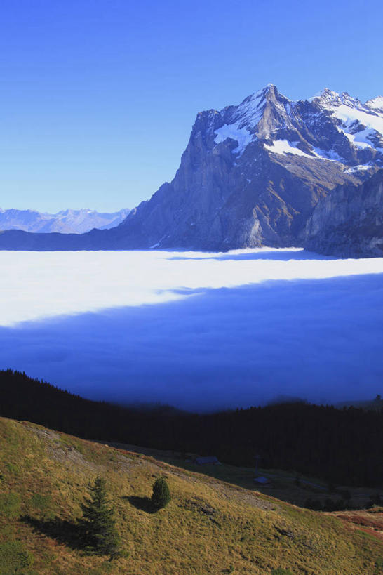 无人,竖图,室外,白天,正面,旅游,度假,草地,草原,美景,山,雪,雪山,植物,大雪,瑞士,欧洲,阿尔卑斯山,阴影,光线,影子,冰,积雪,景观,旷野,山峰,雪景,冬季,冬天,山峦,娱乐,草,蓝色,绿色,蓝天,天空,阳光,自然,天,享受,休闲,景色,放松,寒冷,晴朗,冰冷,自然风光,原野,中欧,万里无云,严寒,瑞士联邦,冰凉,酷寒,凛冽,凛凛,极冷,冰川之城,采尔马特,策尔马特,马特洪峰,晴空,晴空万里,彩图,马特峰