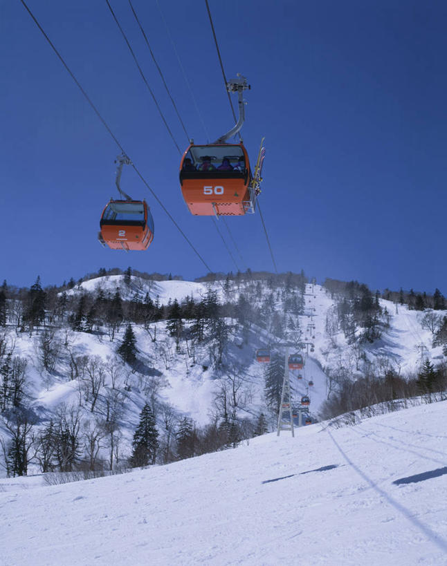 无人,竖图,室外,白天,仰视,旅游,度假,美景,山,树林,雪,雪山,植物,大雪,北海道,日本,亚洲,阴影,光线,影子,冰,积雪,景观,山峰,雪景,冬季,冬天,山峦,娱乐,缆车,树,树木,蓝色,绿色,蓝天,天空,阳光,自然,交通工具,天,享受,休闲,景色,放松,寒冷,生长,晴朗,成长,冰冷,自然风光,东亚,索道,万里无云,札幌,日本国,北海道地方,北海道岛,严寒,县厅,冰凉,酷寒,凛冽,凛凛,极冷,缆索铁路,晴空,晴空万里,彩图,低角度拍摄,札幌市