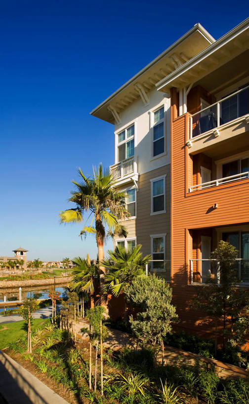 无人,家,竖图,室外,白天,正面,草地,草坪,植物,别墅,棕榈树,叶子,美国,阴影,光线,影子,房屋,屋子,公寓,绿叶,洋房,楼房,住宅,草,树,树木,蓝色,绿色,蓝天,天空,阳光,自然,天,嫩叶,生长,晴朗,成长,北美,北美洲,加利福尼亚,美洲,棕榈叶,加州,加利福尼亚州,万里无云,金州,黄金州,北亚美利加洲,亚美利加洲,文图拉县,奥克斯纳德,叶,叶片,晴空,晴空万里,棕树,棕榈,彩图,房子,美利坚合众国