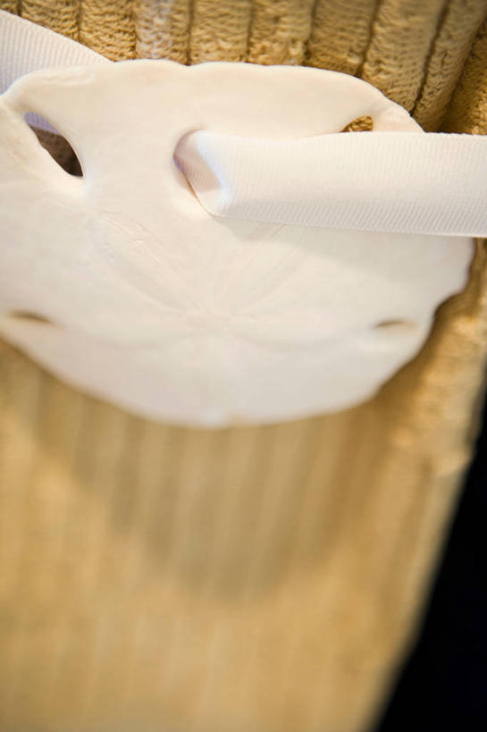 无人,竖图,俯视,室内,特写,白天,一条,阴影,朦胧,模糊,反射,纺织物,影子,海洋生物,毛巾,清洁,保暖,水生动物,水生物,透气,海底动物,防水,海钱,沙钱,储水,耐磨,吸水,彩图,高角度拍摄