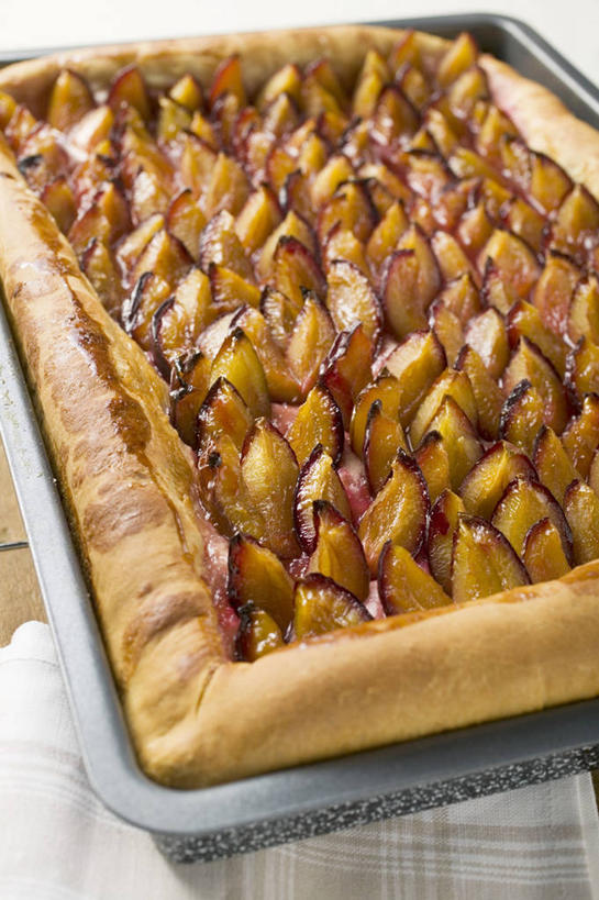 点心,无人,竖图,俯视,室内,特写,白天,餐桌,桌子,李子,水果,金属制品,一排,许多,阴影,新鲜,整齐,反射,金属,影子,生食,食品,甜点,甜品,果实,食物,糕点,排列,容器,甜食,摄影,有机食品,绿色食品,影棚,餐台,储藏,储存,队列,红李,鸡血李,杏李,彩图,高角度拍摄,影棚拍摄,拍摄,贮存