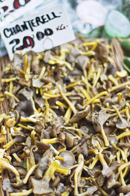 无人,菜场,竖图,俯视,室内,特写,白天,购物,消费,蔬菜,一堆,许多,堆叠,堆积,朦胧,模糊,新鲜,标志,数字,文字,纸,字符,菌菇,食品,集市,市场,很多,菌类,标识,食物,食用菌,金融,阿拉伯数字,有机食品,绿色食品,堆,选购,贸易,鸡油菌,杏黄菌,杏菌,菜市,彩图,高角度拍摄,菜市场