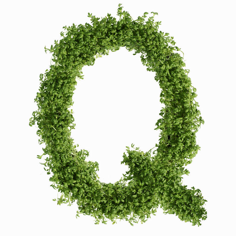 无人,方图,俯视,室内,特写,白天,白色背景,桌面,桌子,芹菜,蔬菜,阴影,新鲜,反射,木制,英文,标志,文字,影子,字符,字母,食品,标识,食物,木制品,摄影,有机食品,绿色食品,影棚,英文字母,根芹菜,根洋芹,球根塘蒿,药芹,水芹,旱芹,彩图,高角度拍摄,影棚拍摄,拍摄