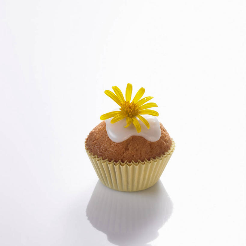 点心,无人,方图,俯视,室内,特写,白天,白色背景,下午茶,快乐,幸福,桌面,桌子,阴影,装饰,盛开,反射,木制,影子,食品,玛格丽特,花蕾,松饼,雏菊,花,花瓣,花朵,鲜花,食物,糕点,一朵,一个,黄色,木制品,花苞,花蕊,菊花,活力,摄影,影棚,单个,希望,纸托,华丽,修饰,点缀,坚强,和平,离别,延命菊,幸福花,春菊,马兰头花,衬托,美观,雅致,雅观,暗恋,纯情,单恋,玛芬蛋糕,蛋糕托,蛋糕托纸,蛋糕纸托,天真,彩图,高角度拍摄,影棚拍摄,愉快,拍摄