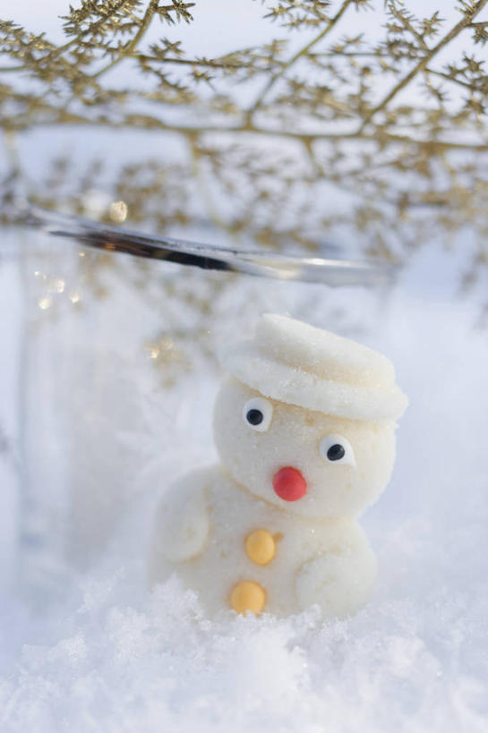 无人,竖图,俯视,室内,特写,白天,游戏,雪,大雪,阴影,朦胧,模糊,反射,影子,积雪,雪景,雪人,冬季,冬天,食品,糖,糖果,甜点,甜品,软糖,玩,娱乐,食物,一个,甜食,休闲,寒冷,单个,活动,发泄,消遣,智力,宣泄,严寒,玩耍,嬉戏,彩图,高角度拍摄,拟人