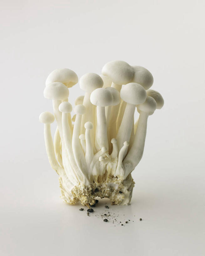 无人,竖图,俯视,室内,特写,白天,白色背景,餐桌,桌子,蔬菜,一堆,许多,阴影,堆叠,堆积,新鲜,反射,影子,菌菇,蘑菇,食品,菌类,食物,白色,食用菌,摄影,有机食品,绿色食品,影棚,餐台,堆,伞菌,蟹味菇,斑玉蕈,荷叶离褶伞,玉蕈,真姬菇,彩图,高角度拍摄,影棚拍摄,拍摄