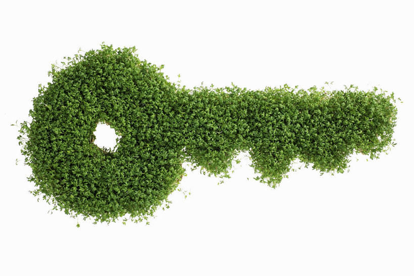 无人,横图,俯视,室内,特写,白天,白色背景,安全,桌面,桌子,芹菜,蔬菜,阴影,新鲜,反射,木制,影子,食品,防护,钥匙,食物,木制品,摄影,有机食品,绿色食品,影棚,保护,开启,封闭,保险,私密,根芹菜,根洋芹,球根塘蒿,保全,周全,安稳,安定,防盗,平安,药芹,水芹,旱芹,彩图,高角度拍摄,影棚拍摄,拍摄