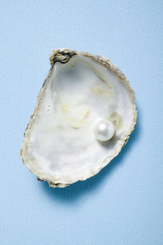 海鲜,无人,竖图,俯视,室内,特写,白天,幸福,纯洁,餐桌,桌子,阴影,蓝色背景,反射,影子,珍珠,牡蛎,一颗,水产,海洋生物,一个,健康,摄影,影棚,单个,餐台,生蚝,贵重,珍贵,富有,水生动物,海产品,水生物,海底动物,宝贵,有机宝石,彩图,高角度拍摄,影棚拍摄,拍摄