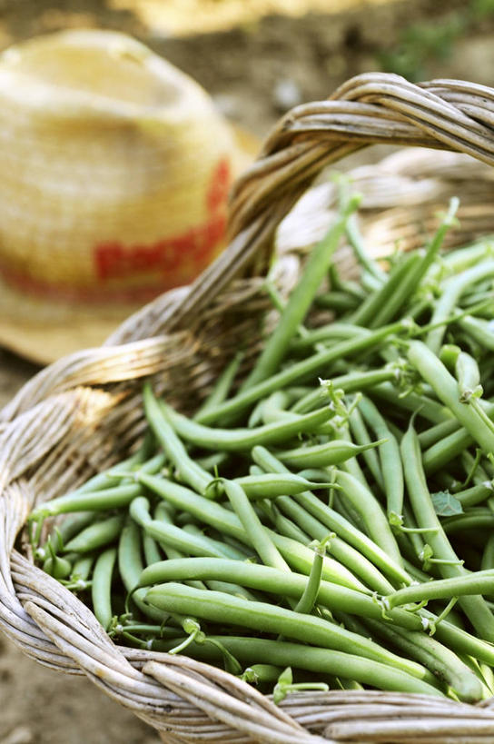 无人,交叉,竖图,俯视,室内,特写,白天,植物,竹子,豆,蔬菜,一堆,许多,堆叠,堆积,竹制,朦胧,模糊,新鲜,编织,篮子,豆类,豆子,食品,很多,食物,绿色,竹篮,有机食品,绿色食品,竹条,堆,交织,竹制品,豆科,穿插,青大豆,青豆,彩图,高角度拍摄