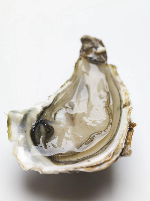 海鲜,无人,竖图,俯视,室内,特写,白天,白色背景,餐桌,桌子,牡蛎,半个,水产,海洋生物,打开,摄影,影棚,餐台,生蚝,开启,水生动物,海产品,水生物,海底动物,彩图,高角度拍摄,影棚拍摄,拍摄