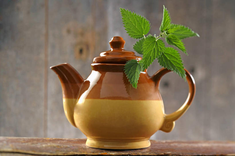 无人,横图,室内,特写,白天,正面,幸福,植物,餐桌,茶,桌子,叶子,阴影,反射,壶,影子,陶瓷,茶叶,绿叶,草药,药草,陶瓷制品,饮品,娱乐,中药,水壶,茶壶,容器,花茶,享受,休闲,温馨,嫩叶,放松,乐趣,保健,养生,餐台,花草茶,舒适,药材,中草药,中药材,本草,一壶,香花茶,香片,熏花茶,刺荨麻,叶,叶片,彩图