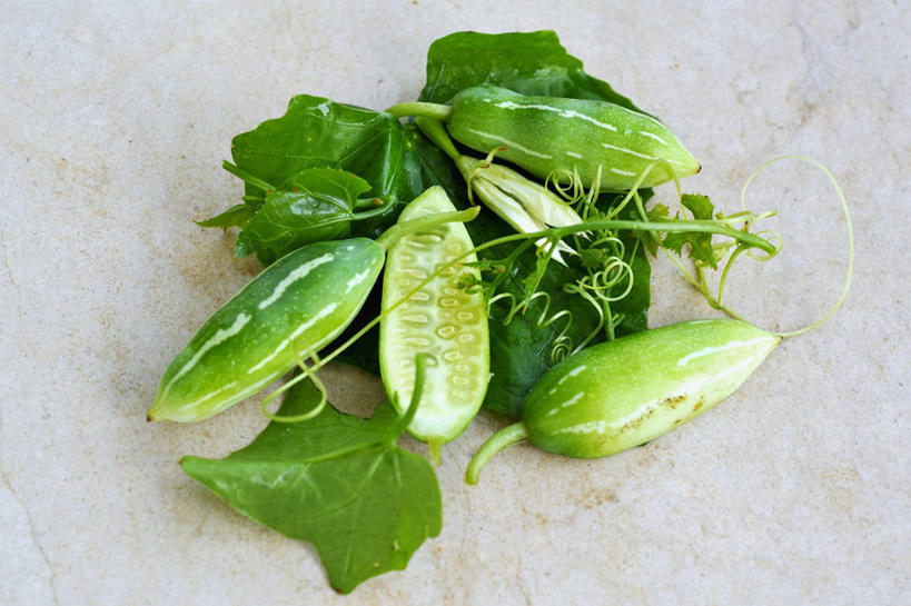 横图,室内,特写,白天,正面,蔬菜,叶子,阴影,灰色背景,新鲜,反射,影子,金瓜,食品,绿叶,食物,嫩叶,摄影,有机食品,绿色食品,影棚,红瓜,叶,叶片,半身,彩图,影棚拍摄,拍摄,老鸦菜,山黄瓜