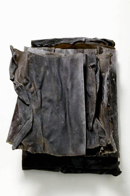 无人,竖图,俯视,室内,特写,白天,白色背景,餐桌,桌子,蔬菜,餐具,阴影,新鲜,反射,碟子,盘,影子,食品,食物,盘子,碟,海藻,摄影,有机食品,绿色食品,影棚,餐台,海草,彩图,高角度拍摄,影棚拍摄,拍摄