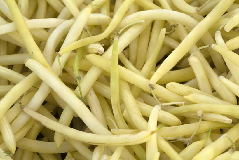 无人,横图,俯视,室内,特写,白天,蔬菜,一堆,许多,堆叠,堆积,新鲜,豆芽,食品,很多,食物,有机食品,绿色食品,堆,豆芽菜,芽苗菜,彩图,高角度拍摄