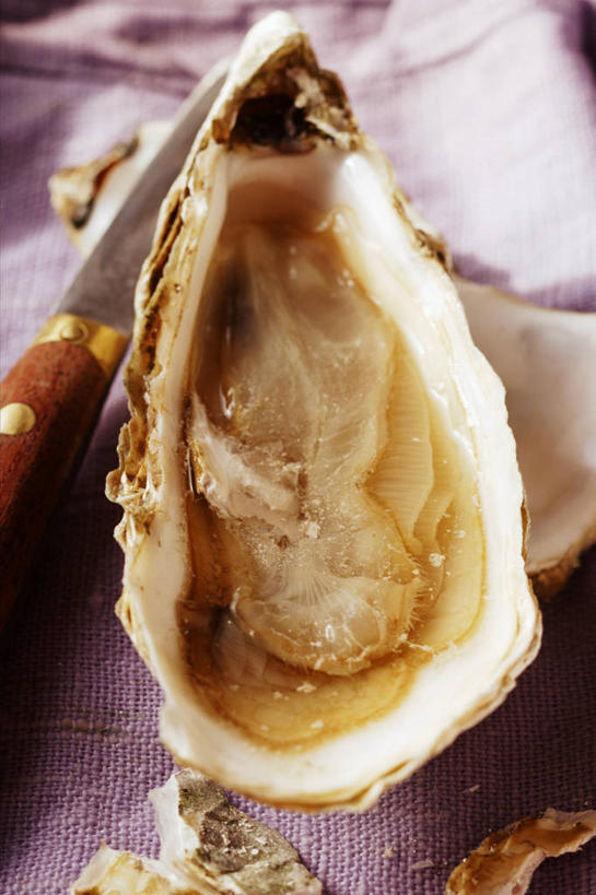 海鲜,无人,竖图,俯视,室内,特写,白天,桌面,桌子,阴影,朦胧,模糊,反射,木制,布料,工具,影子,刀具,牡蛎,布纹,水产,海洋生物,桌布,一个,餐巾,木制品,台布,刀,打开,单个,生蚝,开启,水生动物,海产品,水生物,海底动物,牡蛎刀,彩图,高角度拍摄