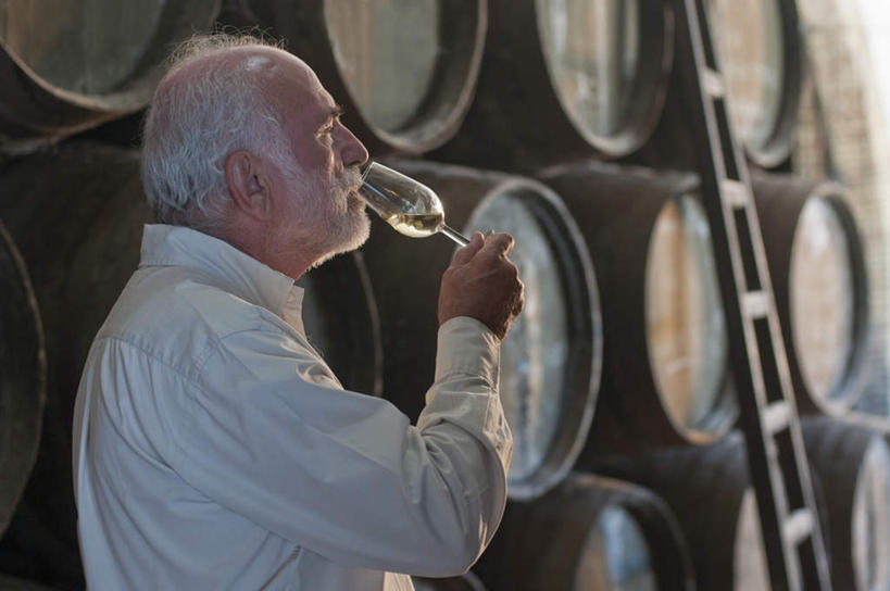 红酒,葡萄酒,西方人,一个人,站,攀登,横图,室内,白天,侧面,工作服,制服,杯子,欧洲,欧洲人,仅一个男性,仅一个人,一堆,许多,喝,握,堆叠,堆积,高脚杯,木桶,梯子,桶,阶梯,木梯,红酒杯,白葡萄酒,酒类,很多,拿,拿着,注视,酒窖,玻璃制品,酒,饮料,酒杯,容器,观察,看,站着,仅一个老年男性,爬,握着,观看,上升,储藏,堆,察看,葡萄酒杯,储存,关注,登高,工作制服,老年男性,男人,男性,白种人,玻璃杯,攀爬,站立,半身,彩图,工作套服,贮存