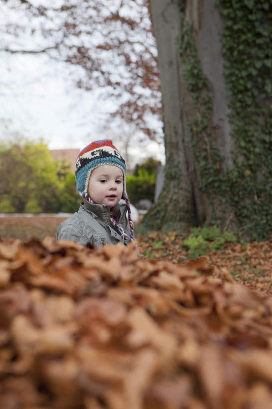 西方人,儿童,一个人,竖图,室外,白天,正面,纯洁,植物,帽子,叶子,欧洲,欧洲人,仅一个女性,仅一个人,一堆,堆叠,堆积,服装,朦胧,模糊,枯叶,落叶,注视,休闲装,树,树木,小孩,衣服,蓝色,绿色,蓝天,天空,自然,天,观察,看,仅一个小孩,休闲,休闲服,可爱,童年,童趣,服饰,生长,晴朗,成长,观看,堆,察看,关注,童真,烂漫,无邪,万里无云,棉帽,天真,女孩,女人,女性,白种人,孩子,叶,叶片,晴空,晴空万里,半身,彩图,女生