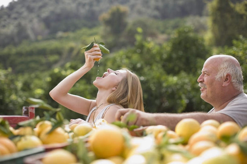 西方人,两个人,家庭,父亲,女儿,果园,站,举,横图,室外,白天,侧面,田园,植物,柑橘,水果,欧洲,欧洲人,一堆,许多,握,堆叠,堆积,服装,丰富,丰收,新鲜,生食,食品,果实,果树,很多,丰盛,拿,拿着,注视,休闲装,树,树木,食物,衣服,绿色,自然,观察,看,托,站着,张嘴,休闲,温暖,温馨,父女,一家人,休闲服,父爱,握着,服饰,有机食品,绿色食品,生长,成长,观看,堆,和睦,察看,关注,张大嘴巴,田庄,丰登,丰硕,园子,老年男性,男人,男性,年轻女性,女人,女性,白种人,张开嘴,橘子,桔子,橙子,橙,举起,举手,举着,抬头,向上举,向上伸,向上托,仰头,站立,半身,彩图,融洽