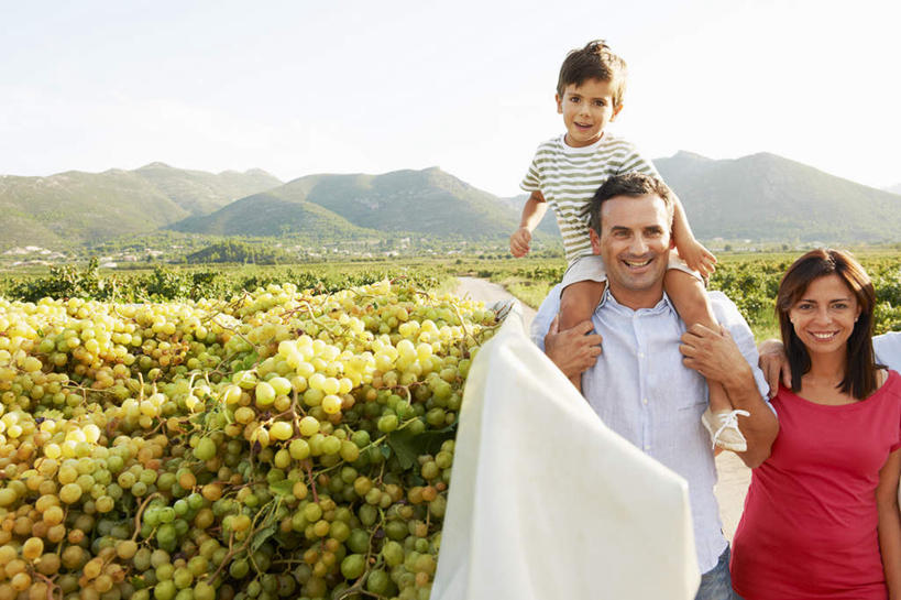 西方人,儿童,中年人,三个人,家庭,夫妻,母亲,父亲,儿子,果园,站,笑,微笑,露齿笑,横图,室外,白天,正面,衬衫,爱情,纯洁,草地,草坪,山,田园,植物,欧洲,欧洲人,阴影,服装,光线,影子,山峰,山峦,浪漫,注视,休闲装,葡萄园,架子,草,小孩,骑,衣服,红色,绿色,天空,阳光,庄园,天,观察,看,扛,站着,休闲,温暖,温馨,父子,母子,三口之家,一家人,休闲服,恩爱,父爱,可爱,母爱,童年,童趣,恋人,服饰,观看,支撑,固定,和睦,察看,关注,葡萄架,童真,烂漫,无邪,扛在肩上,骑在肩上,天真,男孩,男人,男性,女人,女性,中年男性,中年女性,白种人,孩子,夫妇,情侣,站立,半身,彩图,衬衣,伴侣,融洽,男生