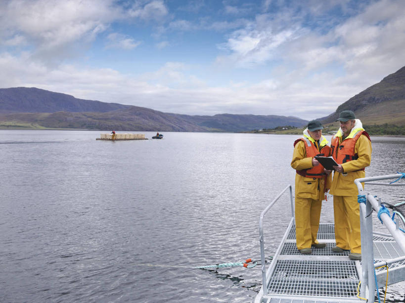 西方人,两个人,伙伴,朋友,码头,站,横图,室外,白天,正面,工作服,制服,友谊,合作,团队,海浪,海洋,港口,轮船,船,欧洲,欧洲人,握,阴影,服装,光线,材料,档案,救生衣,文件,影子,纸,浪花,云,云朵,拿,云彩,拿着,注视,衣服,黄色,蓝色,白云,蓝天,天空,阳光,海水,手稿,资料,交通工具,天,观察,看,站着,战略,握着,充气,服饰,晴朗,观看,救生背心,证明,察看,救生,衣着,穿着,关注,载具,文档,海景,联合,合谋,工作制服,衣饰,浮水衣,配合,协作,男人,男性,年轻男性,中年男性,白种人,大海,风浪,海,海水的波动,近岸浪,涌浪,晴空,站立,彩图,全身,工作套服,摆渡口,埠头,渡口,渡头,港湾,海港,货运码头,口岸,商港